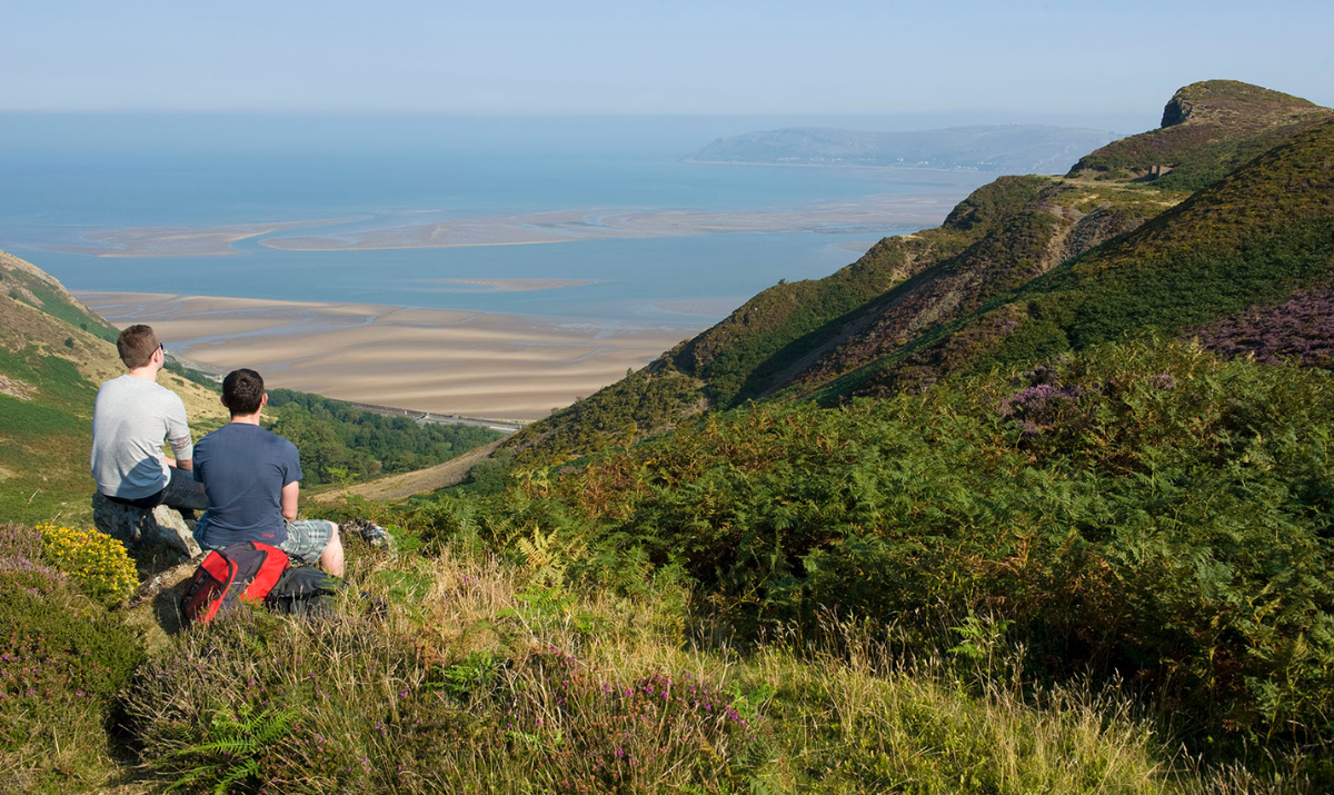 Conwy Mountain View